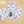 Stary Penguin Combo