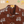 Tractor Print Earth Brown Shirt