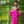Lotus Bloom (Purple)- Ethnic Wear Boys