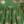 Lotus Bloom (Green)- Ethnic Wear Girls