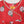 Blooming Red- Ethnic Wear Girls