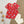 Blooming Red- Ethnic Wear Girls