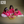 Blooming Red- Ethnic Wear Boys