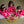 Blooming Red- Ethnic Wear Boys