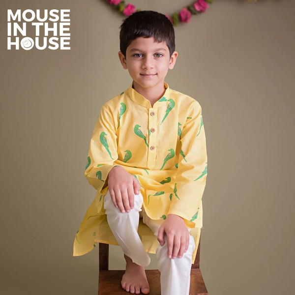 Tiya A Parrot- Ethnic Wear Boys