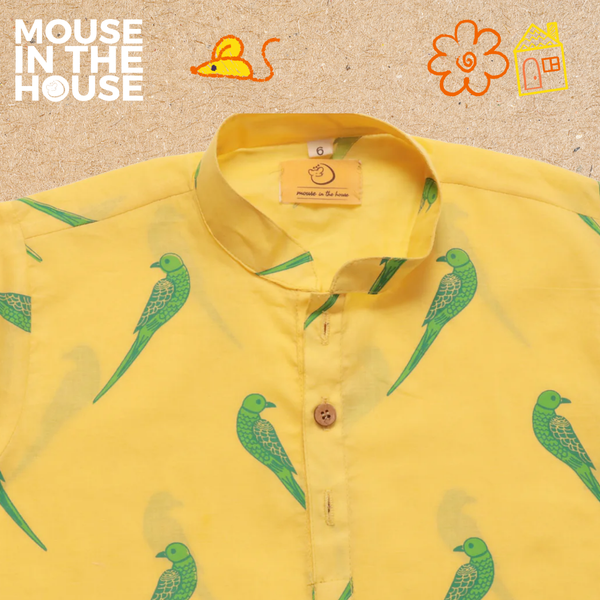 Tiya A Parrot- Ethnic Wear Boys