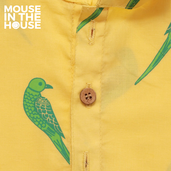 Tiya A Parrot- Ethnic Wear Boys