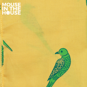 Tiya A Parrot- Ethnic Wear Boys