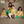 Tiya A Parrot - Ethnic wear Girls