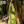 Rupa The Elephant - Ethnic Wear Boys