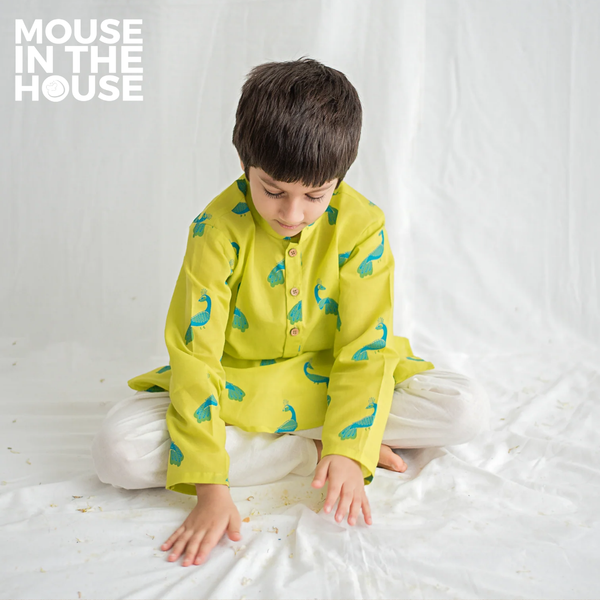 Mayur The Peacock- Ethnic Wear Boys