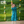Dazzling Flower (Blue)- Ethnic Wear Boys