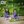 Dazzling Flower(Purple) - Ethnic Wear Boys