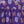 Dazzling Flower (Purple) - Ethnic Wear Girls
