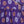 Dazzling Flower (Purple) - Ethnic Wear Girls