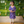 Dazzling Flower (Purple) - Ethnic Wear Girls