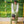 Gleaming Leaf (Green)- Ethnic Wear Boys