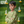 Gleaming Leaf (Green)- Ethnic Wear Boys