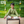 Gleaming Leaf (Green)- Ethnic Wear Boys