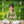 Gleaming Leaf (Green)- Ethnic Wear Boys