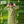 Gleaming Leaf (Green)- Ethnic Wear Boys