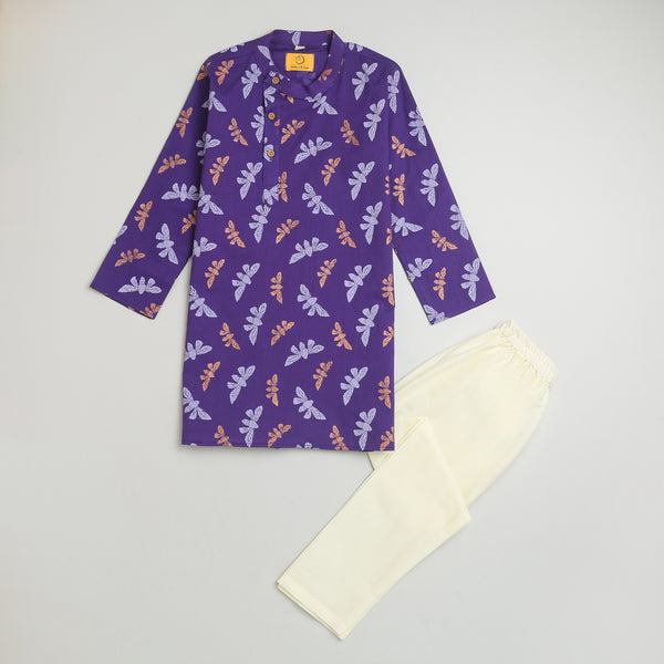 Shimmering Butterfly Ethnic Wear (Boys)