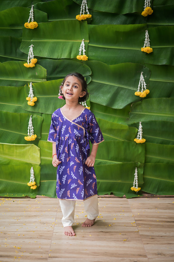 Shimmering Butterfly Ethnic Wear (Girls)