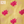 Lotus Bloom (Yellow)- Ethnic Wear Boys