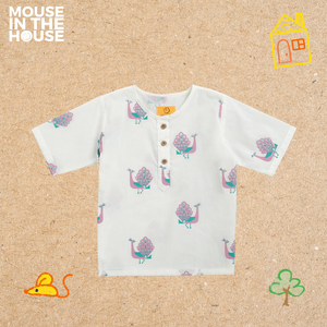 The Majestic Peacock