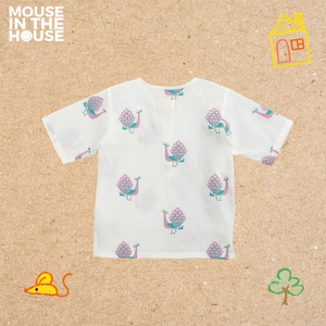 The Majestic Peacock