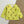 Green Triangle- Reversible Jacket