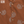 A Spiky Porcupine - Cotton Shirt