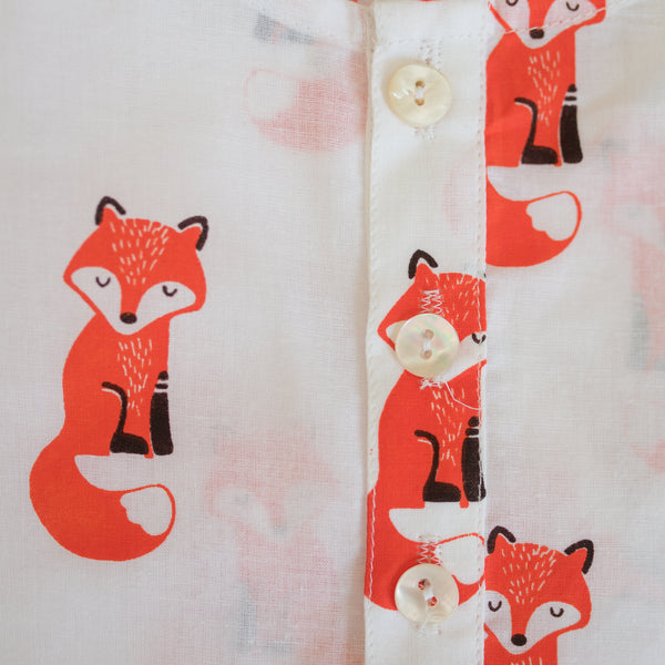 The Bushy Fox