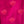 Lotus Bloom Girls- Pink